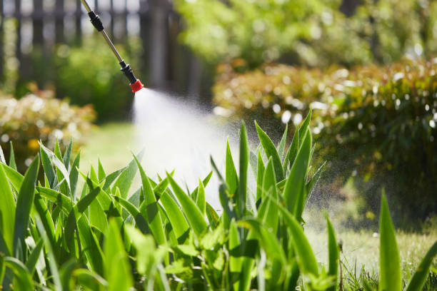 Tamper-Resistant Bait Stations for Rodents in Diamond