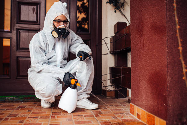 Attic and Crawl Space Rodent Treatment in Diamond