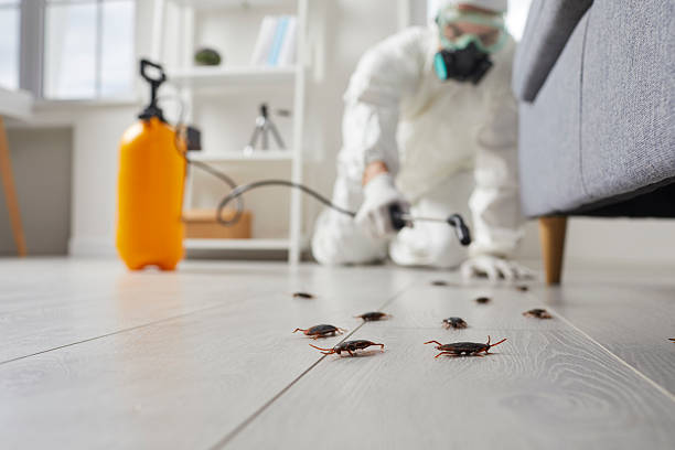 Commercial Rodent Management in Diamond